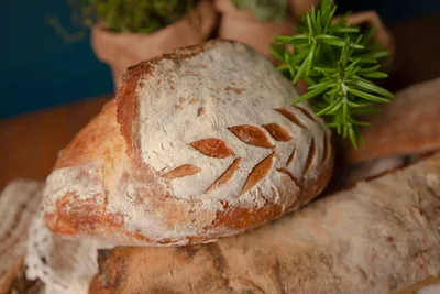 Hogaza de pan de masa madre con la corteza dorada